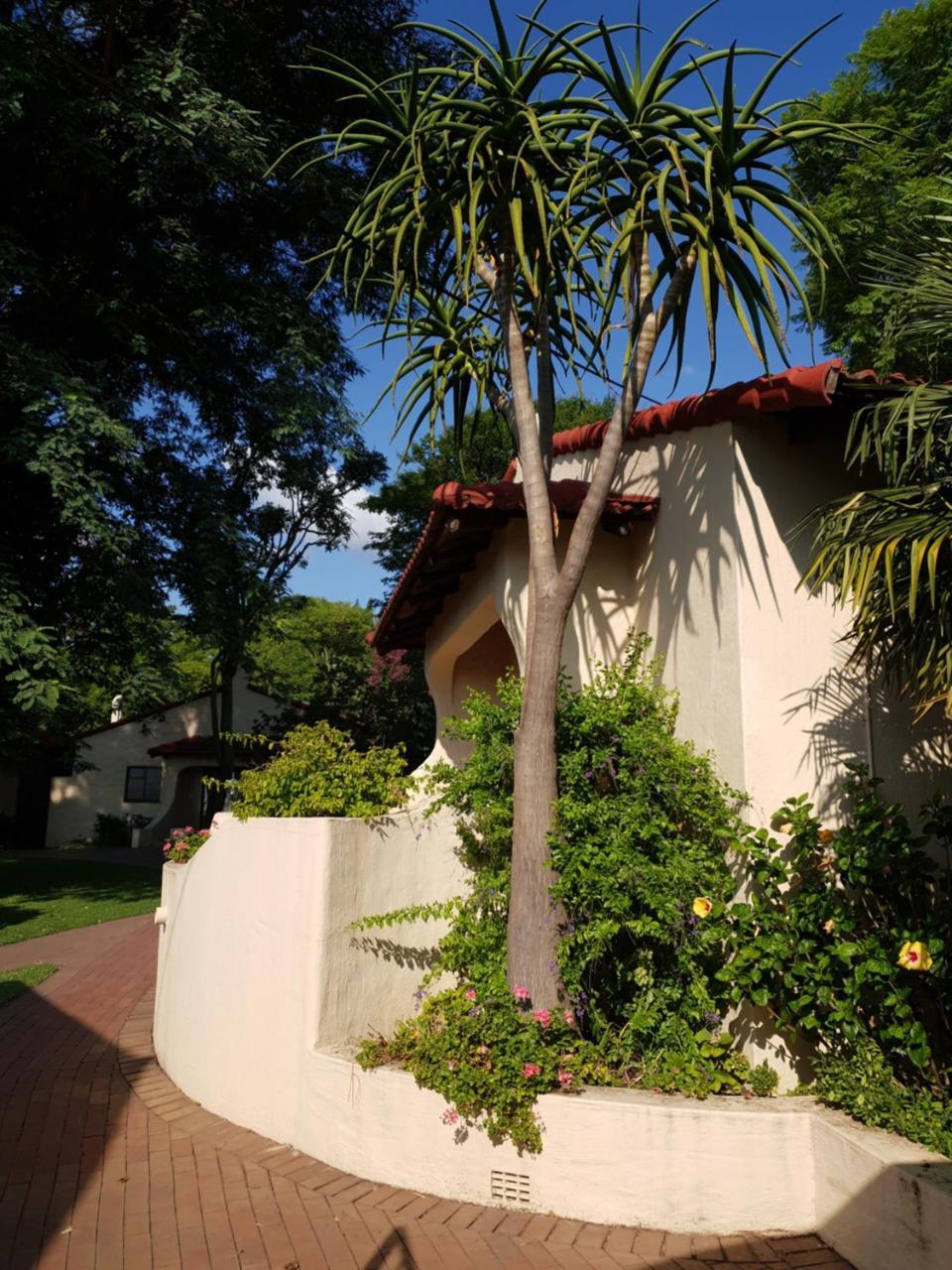 Villa Botanica Guest House Midrand Zewnętrze zdjęcie